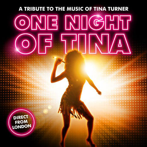 One Night of Tina | Allgäu Concerts