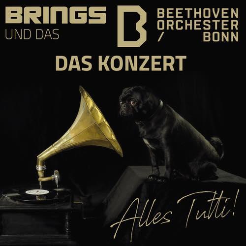 Brings & Beethoven Orchester Bonn | Kunst!Rasen