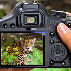 Fotosafaris | Wir lieben Tickets