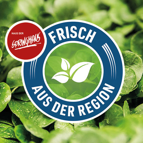 Comedy frisch aus der Region - Mixed Show | Springmaus-Theater