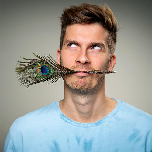 Simon Stäblein - Pfauenquote | Springmaus-Theater