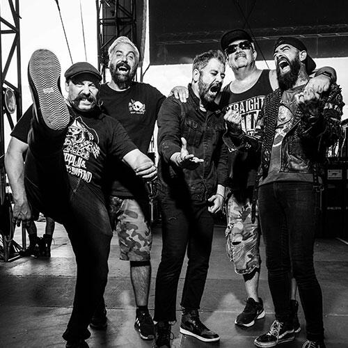 ZEBRAHEAD | undercover.de