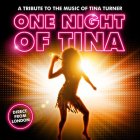 One Night of Tina