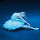 Das Russische Nationalballett
