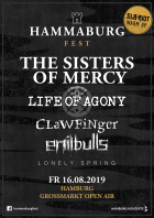 HAMMABURG FEST