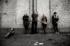 BACKYARD BABIES
