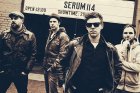 SERUM 114