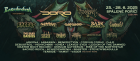 BASINFIRE FESTIVAL