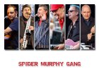 SPIDER MURPHY GANG