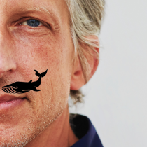 FR | 2.10.26 | 20 Uhr
William Wahl