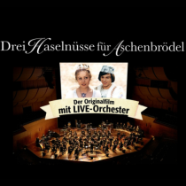 Drei Haselnüsse für Aschenbrödel - 20.12.2025