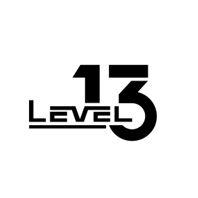 LEVEL 13