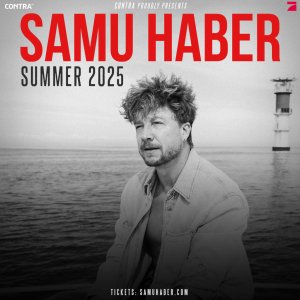 Künstlerbild von SAMU HABER