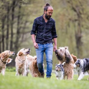 Künstlerbild von Sami El Ayachi