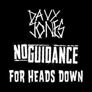 Künstlerbild von Davy Jones, No Guidance, For Heads Down
