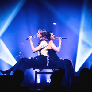 Künstlerbild von Berlin, Du coole Sau - Eine Liebeserklärung