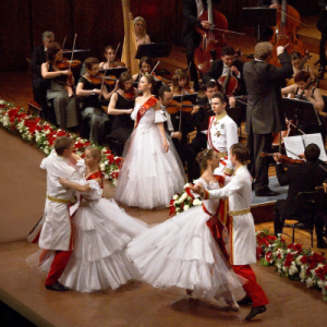 Künstlerbild von Wiener Johann Strauß Konzert-Gala