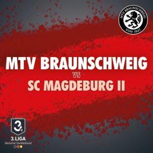 Künstlerbild von MTV Braunschweig Handball