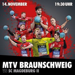 Künstlerbild von MTV Braunschweig Handball