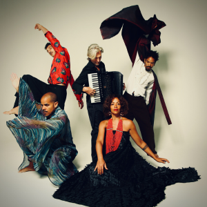 SHMF: AYOM | KULTURWERFT GOLLAN