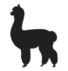 POS Künstler | soulticket.de